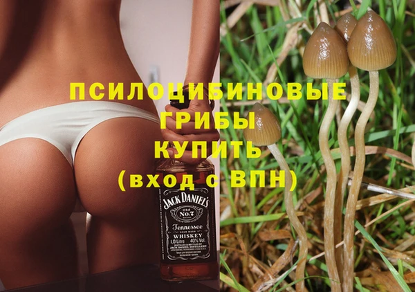 ГАЛЛЮЦИНОГЕННЫЕ ГРИБЫ Алзамай