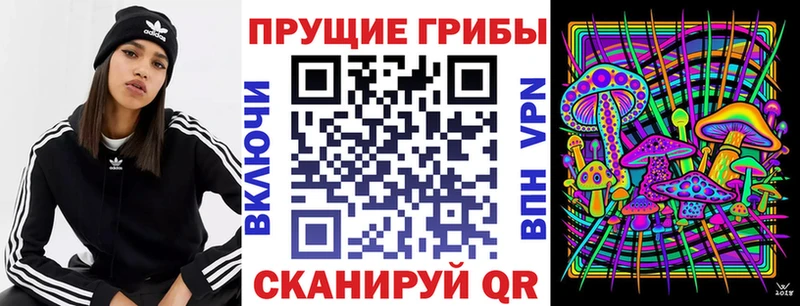 mega сайт дарк нет клад Ахтырский Псилоцибиновые грибы Psilocybine cubensis наркошоп